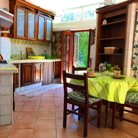 Patrizia Villa *
